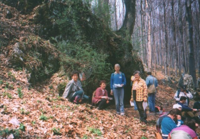 photo01.jpg