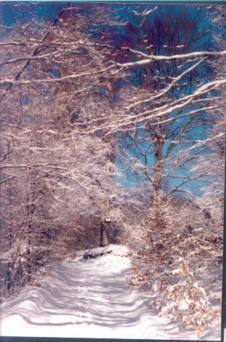 photo13.jpg