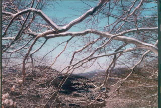 photo14.jpg