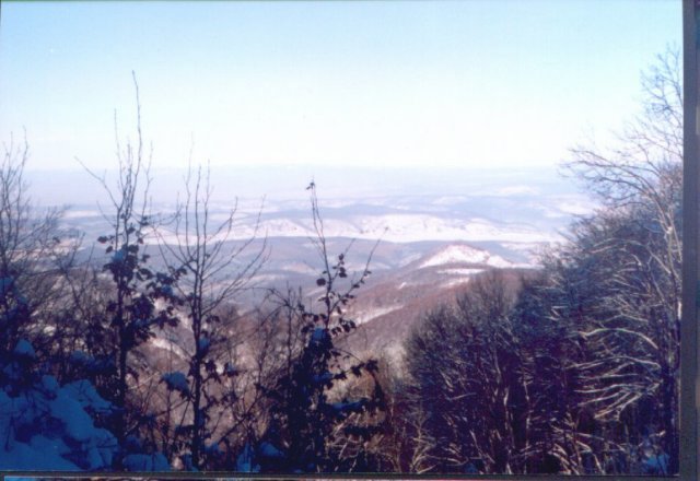 photo15.jpg