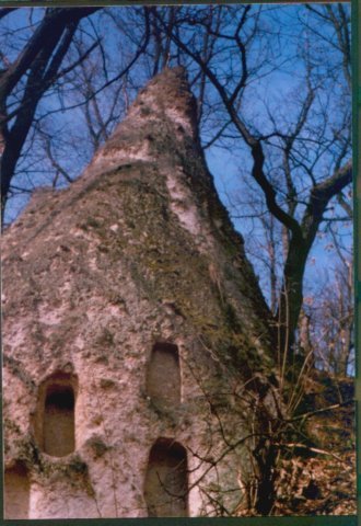 photo20.jpg