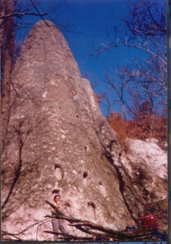 photo21.jpg