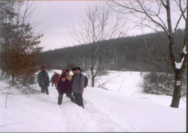 photo24.jpg