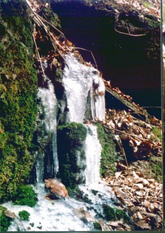 photo26.jpg