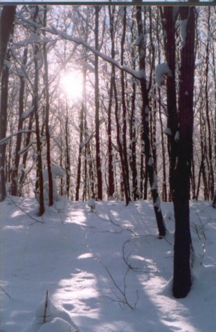 photo41.jpg