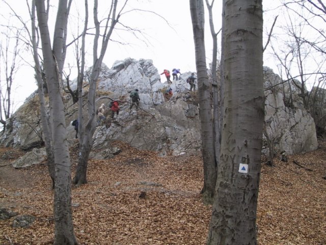 photo003.jpg