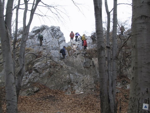 photo004.jpg