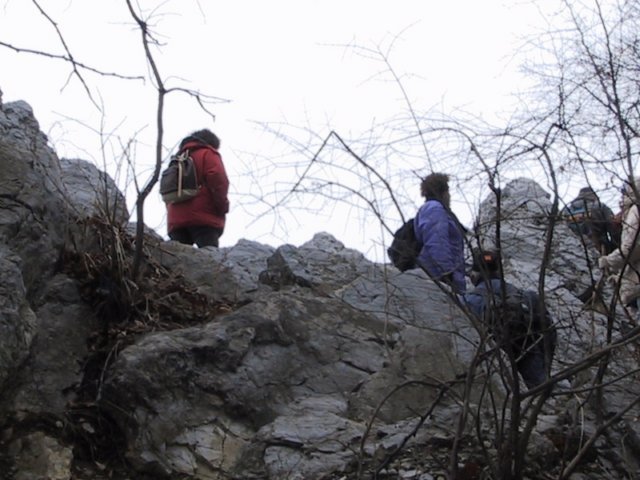 photo005.jpg