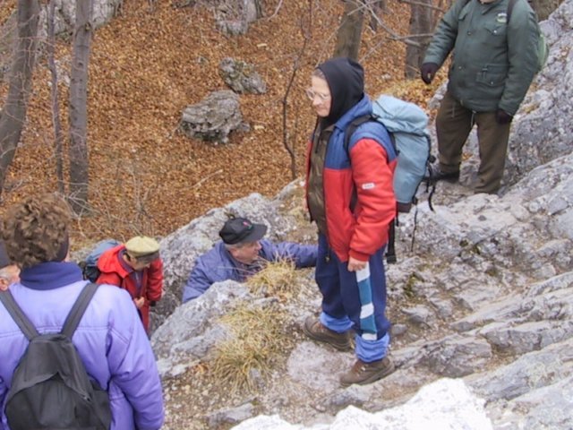 photo006.jpg