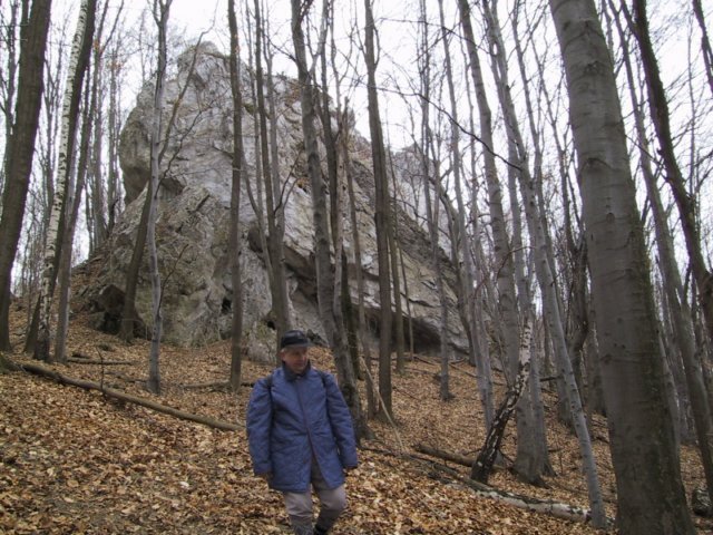 photo011.jpg