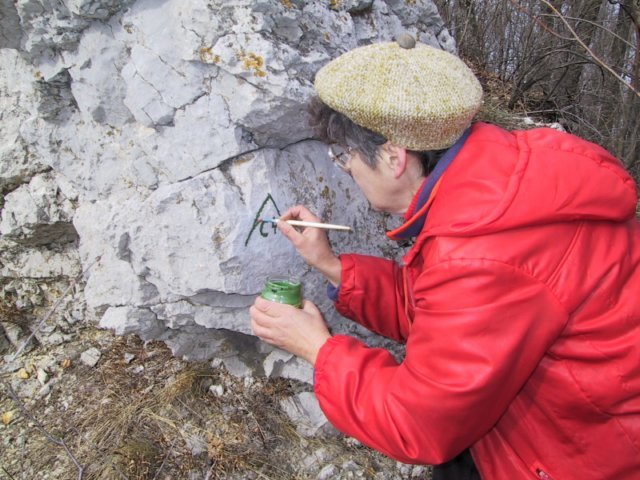photo014.jpg