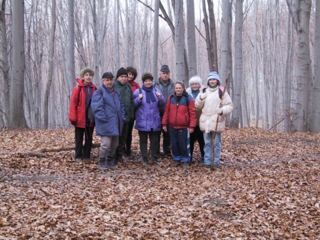photo016.jpg
