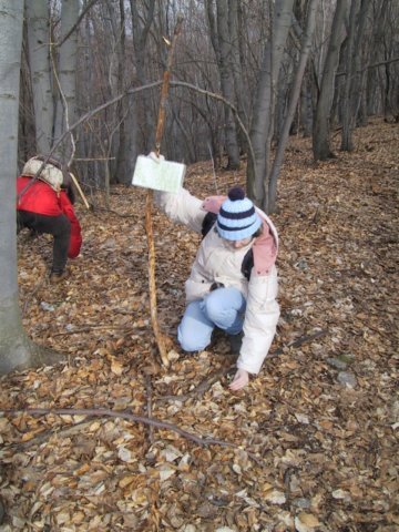 photo017.jpg
