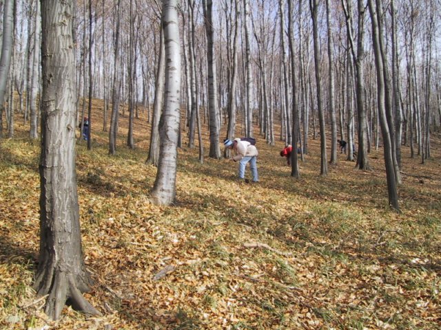 photo020.jpg