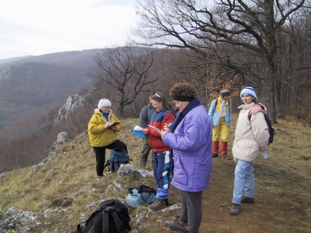 photo022.jpg