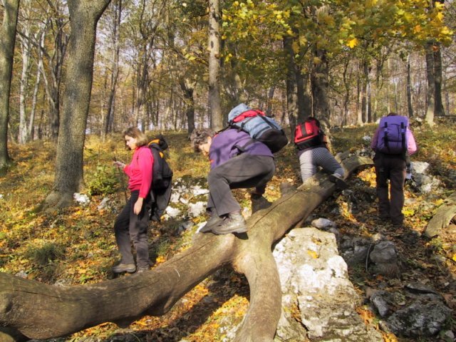 photo027.jpg