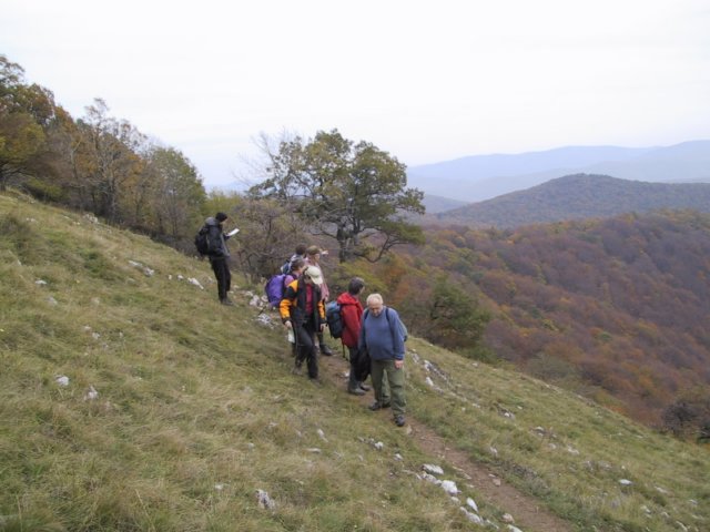 photo037.jpg