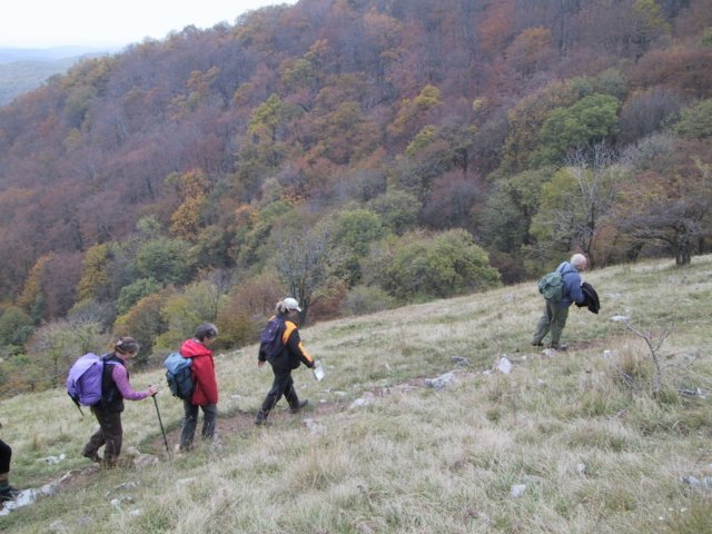 photo038.jpg