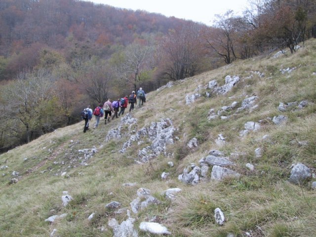 photo040.jpg