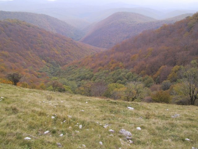 photo041.jpg