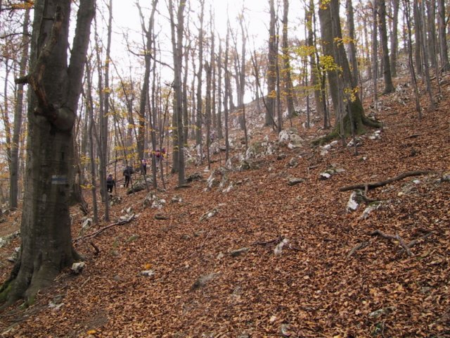 photo042.jpg