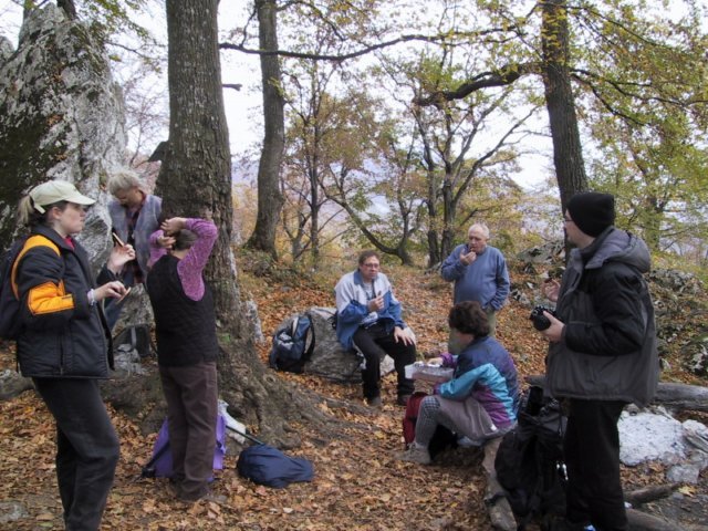 photo047.jpg