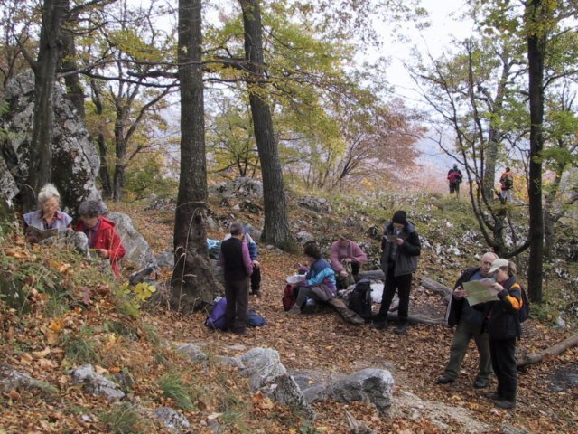 photo049.jpg