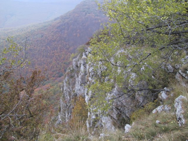 photo055.jpg