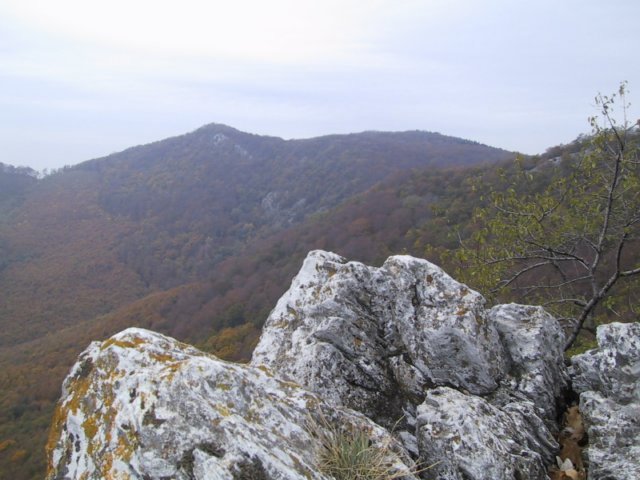 photo064.jpg
