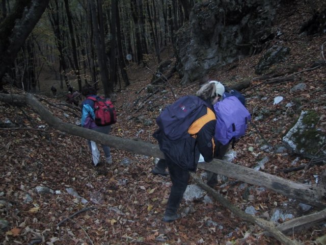 photo069.jpg