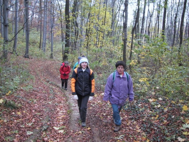 photo070.jpg