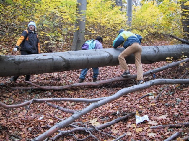photo072.jpg