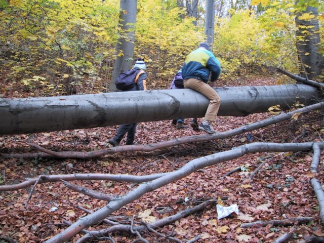 photo073.jpg