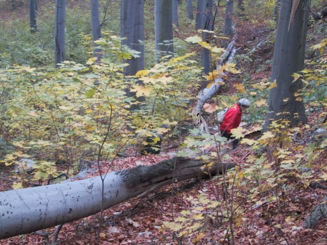 photo074.jpg