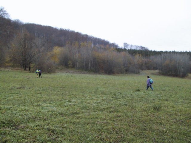 photo079.jpg