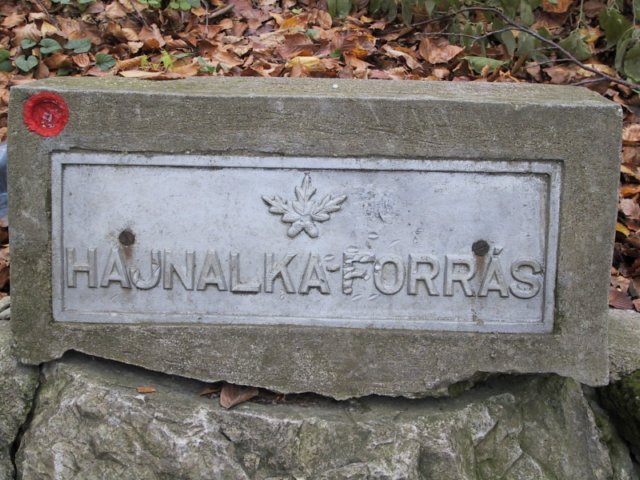 photo080.jpg