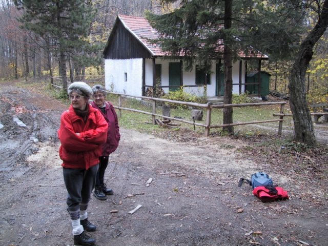 photo082.jpg