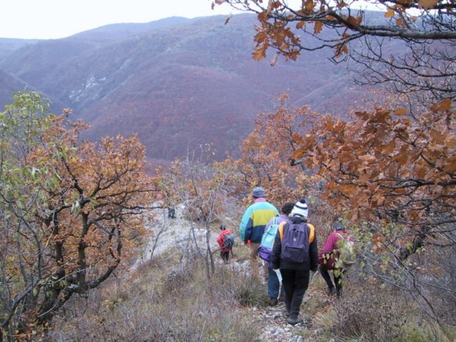 photo091.jpg