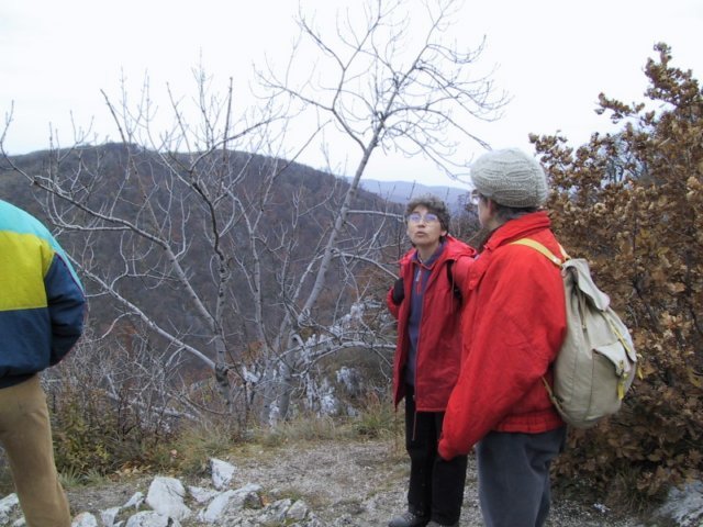 photo094.jpg