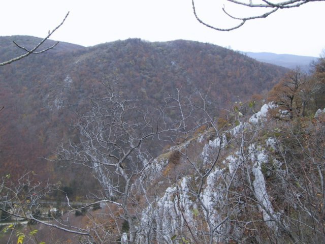 photo097.jpg