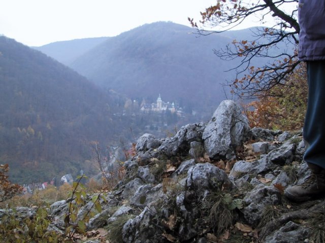 photo106.jpg