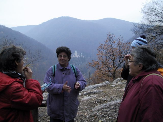 photo111.jpg