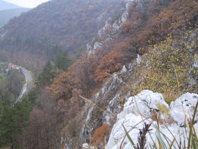 photo113.jpg