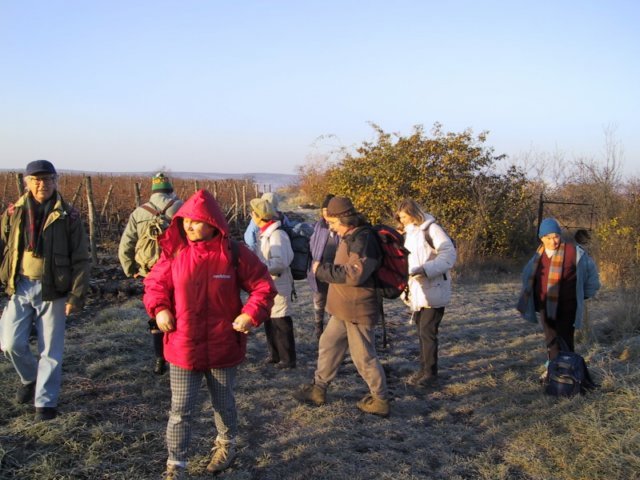 photo116.jpg