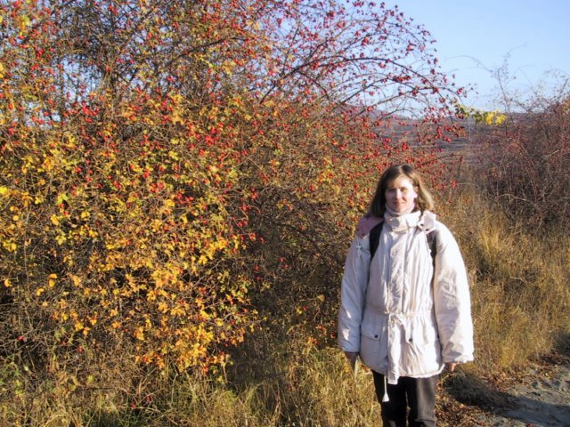 photo121.jpg