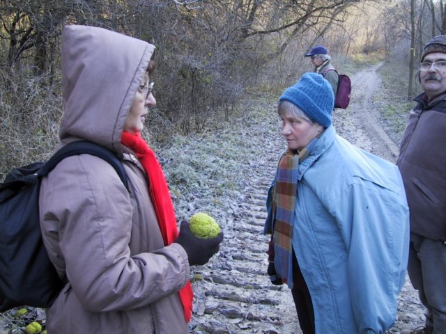 photo124.jpg