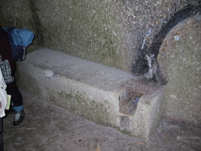 photo131.jpg