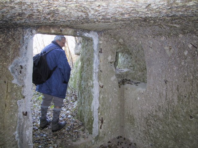 photo133.jpg
