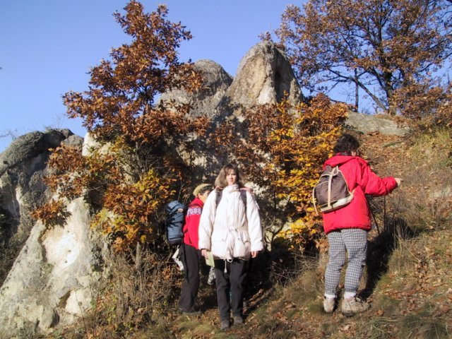 photo135.jpg