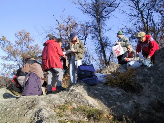 photo142.jpg